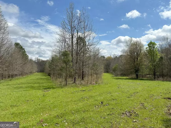 Lexington, GA 30648,300 Duck Pond RD