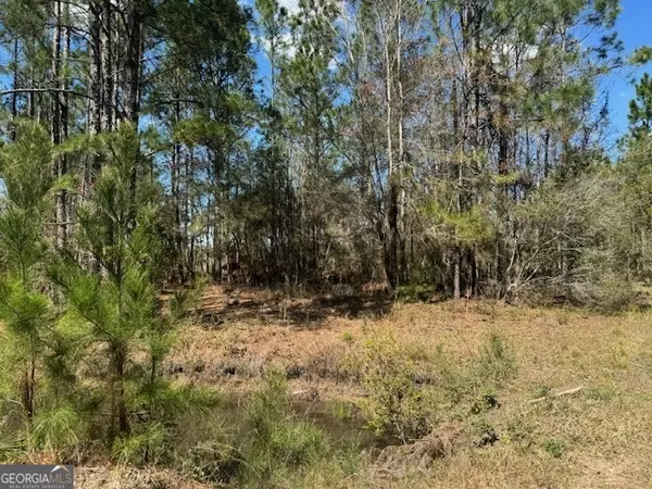 TRACT 87 Bertran Trail, Waycross, GA 31503