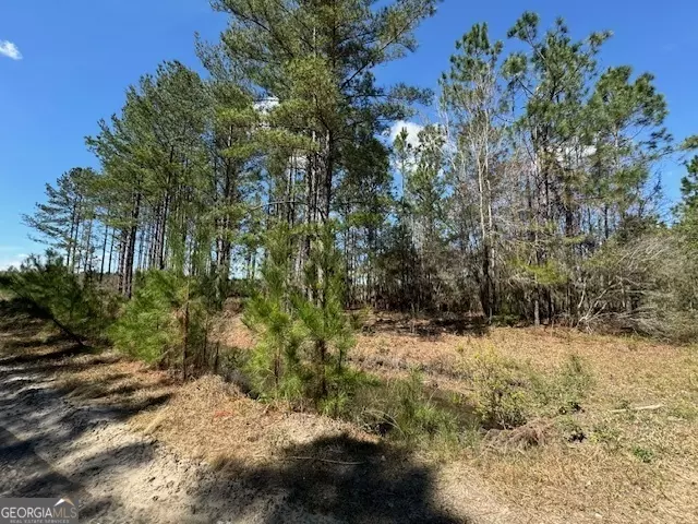 Waycross, GA 31503,TRACT 88 Bertran TRL