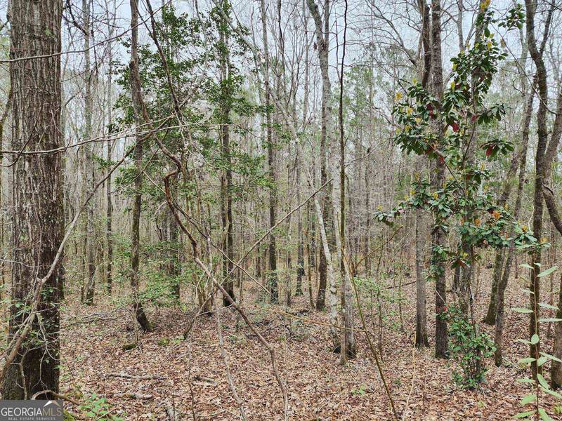 LOT 19 Smith, Thomaston, GA 30286