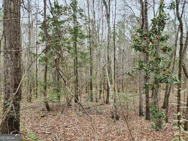 LOT 19 Smith RD, Thomaston, GA 30286