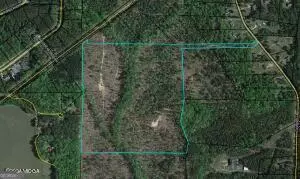 0 Hwy 42N, Lot F, Forsyth, GA 31029