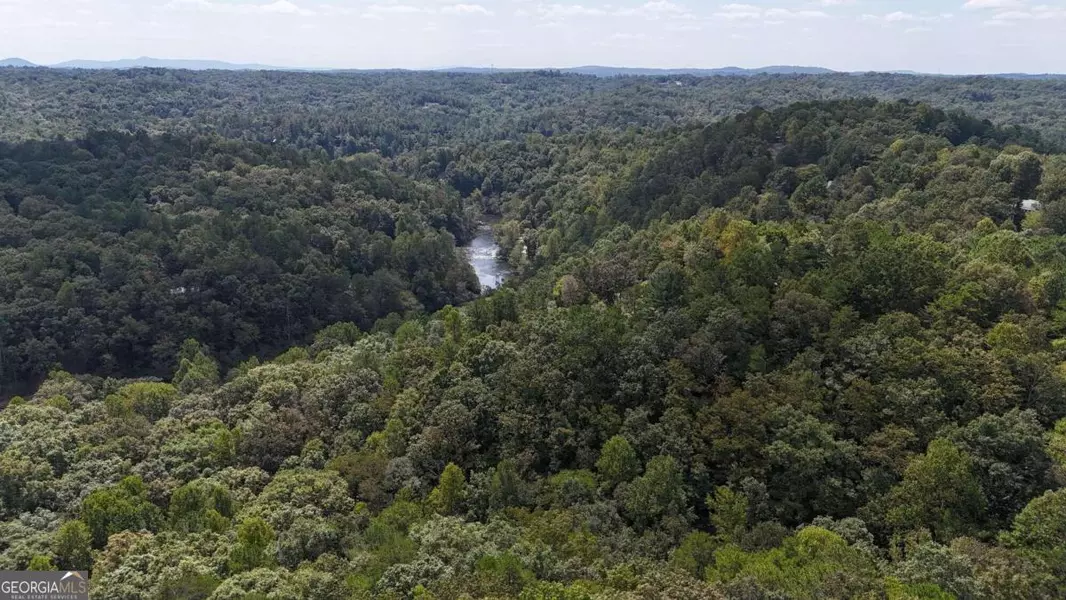 LT 2585 Mural CT, Ellijay, GA 30540