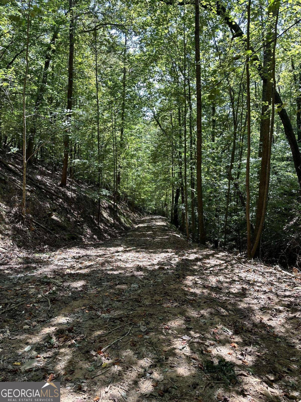 Ellijay, GA 30540,LT 2585 Mural CT