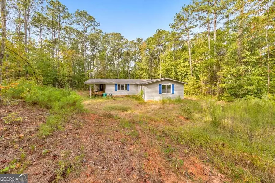 225 Purple Martin, Monticello, GA 31064