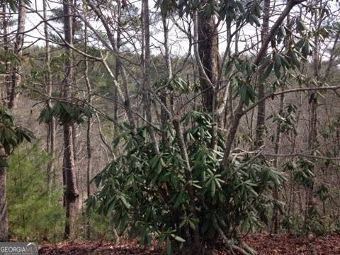 Sautee Nacoochee, GA 30571,0 Wolf Howl TRL #1