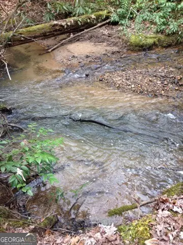 Sautee Nacoochee, GA 30571,0 Wolf Howl TRL #1