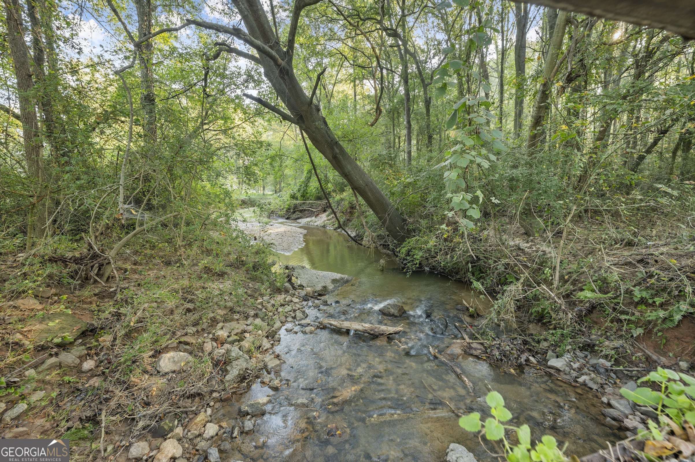 Lavonia, GA 30553,0 Caney Branch RD
