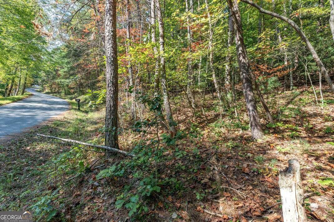 Blue Ridge, GA 30513,LOT 71 Laurel XING