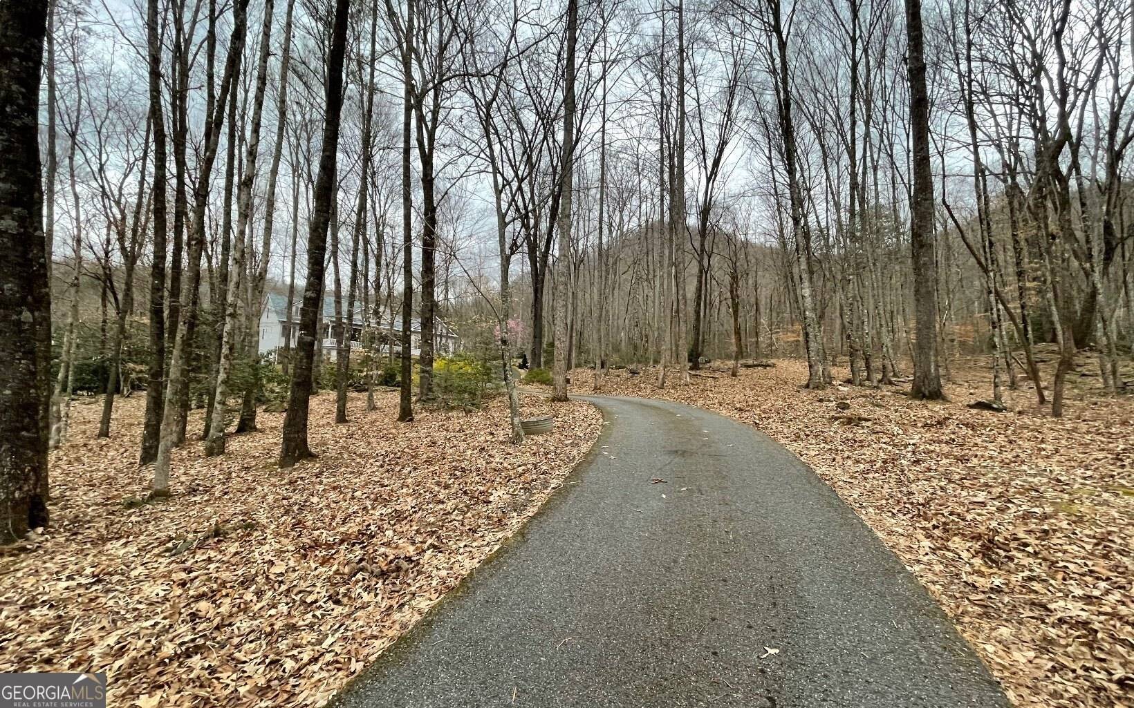 Hayesville, NC 28904,LOT 22 High Meadows