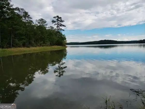 Tignall, GA 30668,1039 Merganser Coves