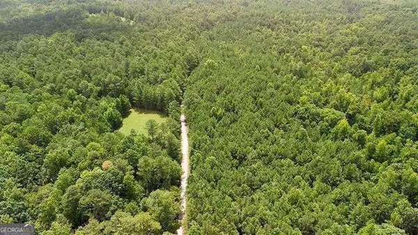 Dawsonville, GA 30534,0 Cowart RD
