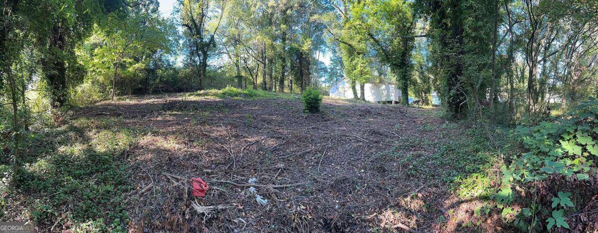 0 Webb Lot #00 AVE, Atlanta, GA 30314