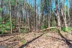 Ellijay, GA 30540,LOT 694 Satsuma