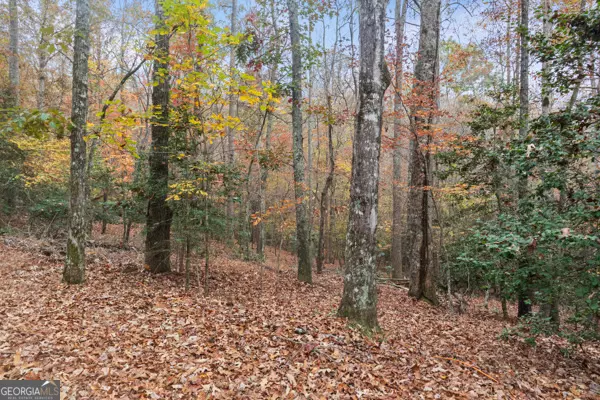 Demorest, GA 30535,LOT 6 Twisting Ridge