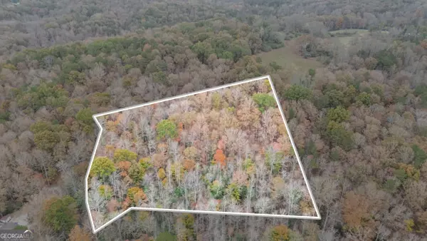 Demorest, GA 30535,LOT 6 Twisting Ridge