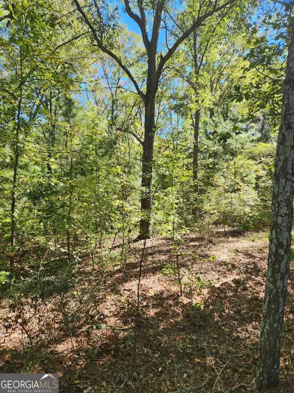 Elberton, GA 30635,0 Anderson