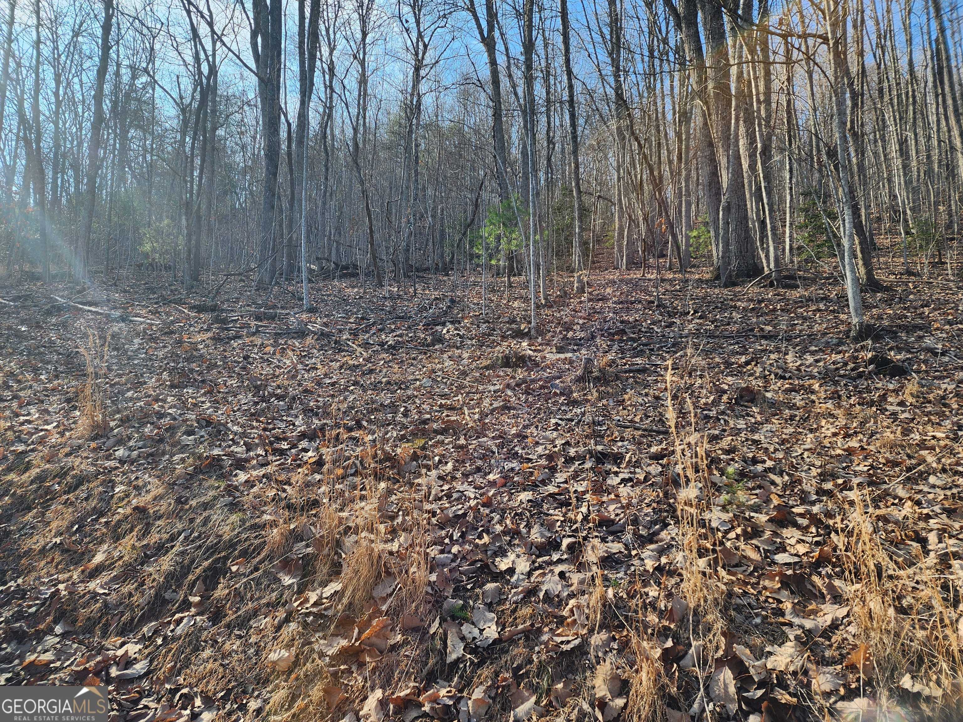 Young Harris, GA 30582,LOT 27 True Love Mountain RD