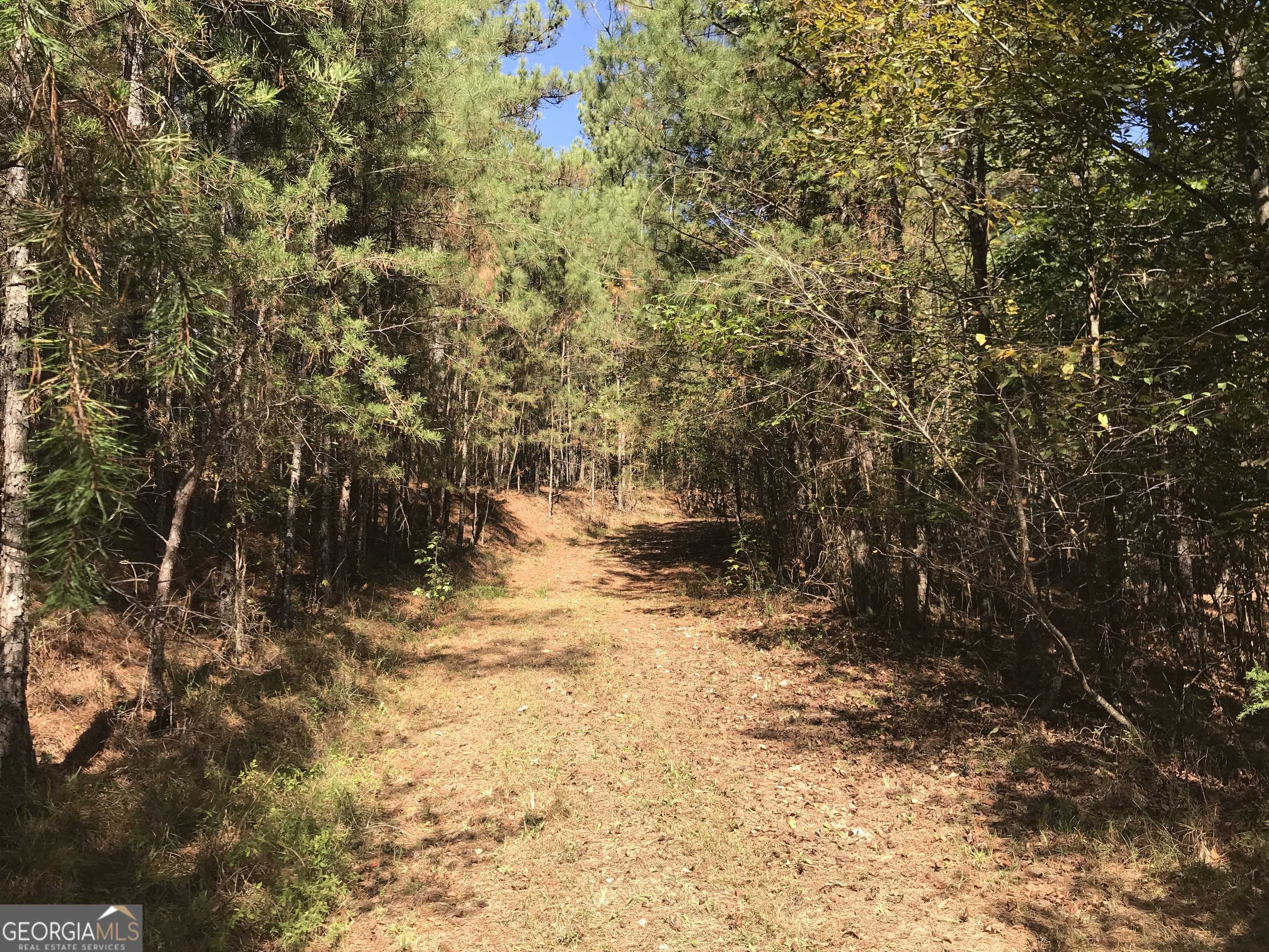 Ranger, GA 30734,0 Redbone Ridge RD #9616-F
