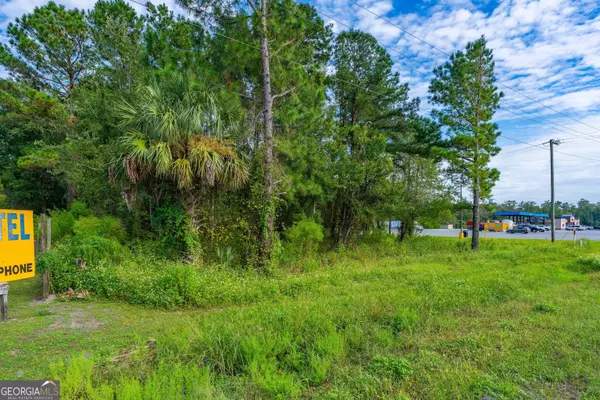 Folkston, GA 31537,00 Highway 1