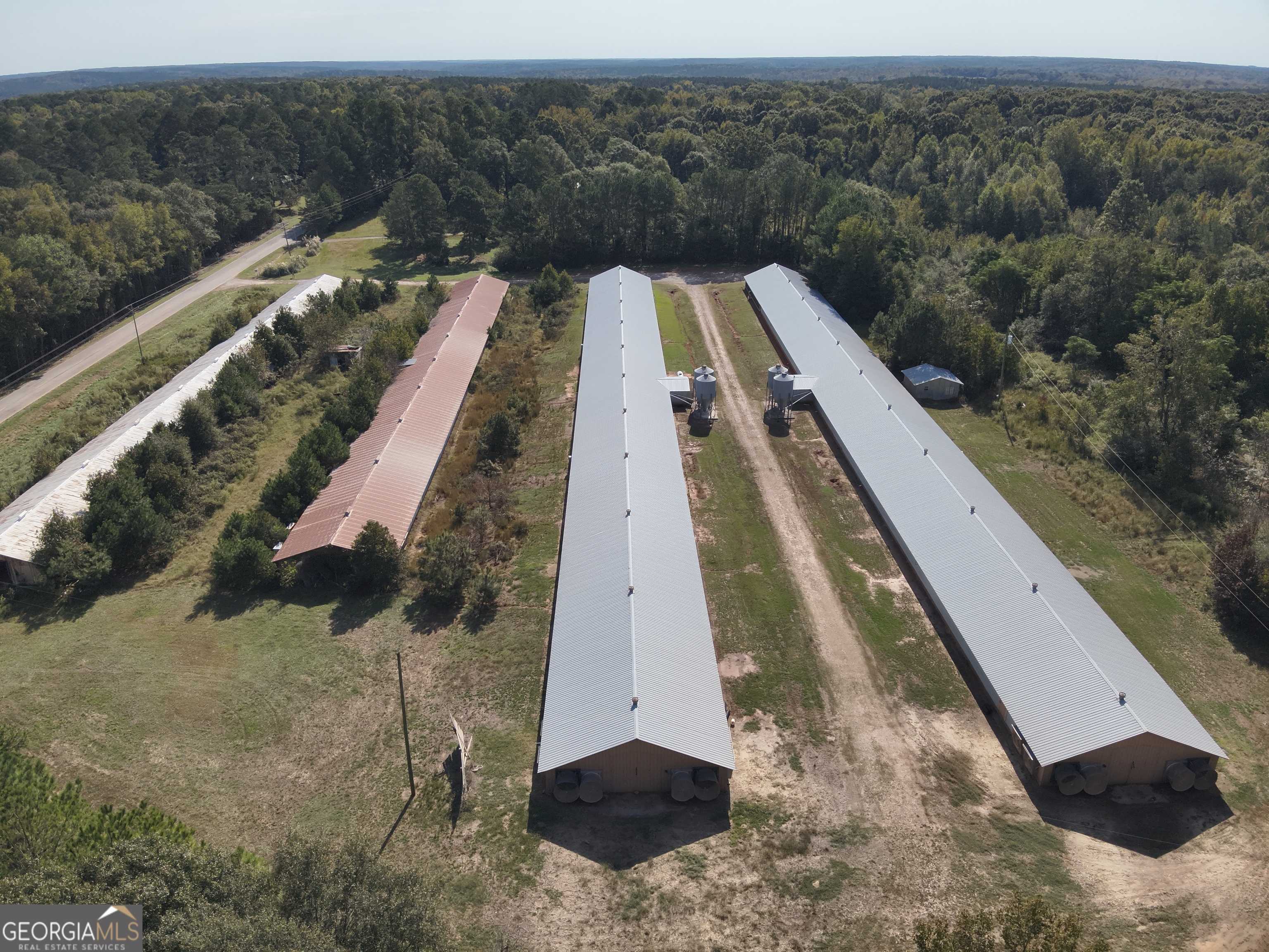 Carlton, GA 30627,667 Paoli RD E