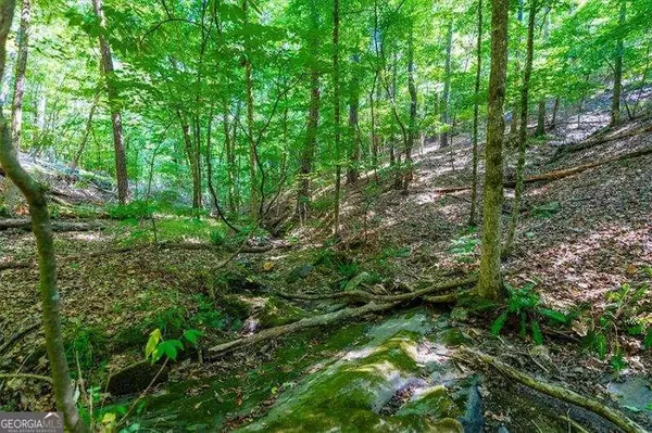 Acworth, GA 30101,0 Overlook TRL