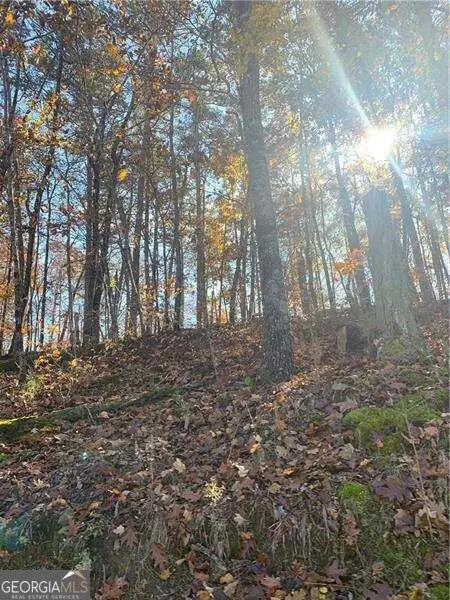 Fairmount, GA 30139,0 Sulphur Springs RD