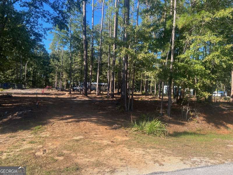 0 Calhoun DR, Abbeville, AL 36310