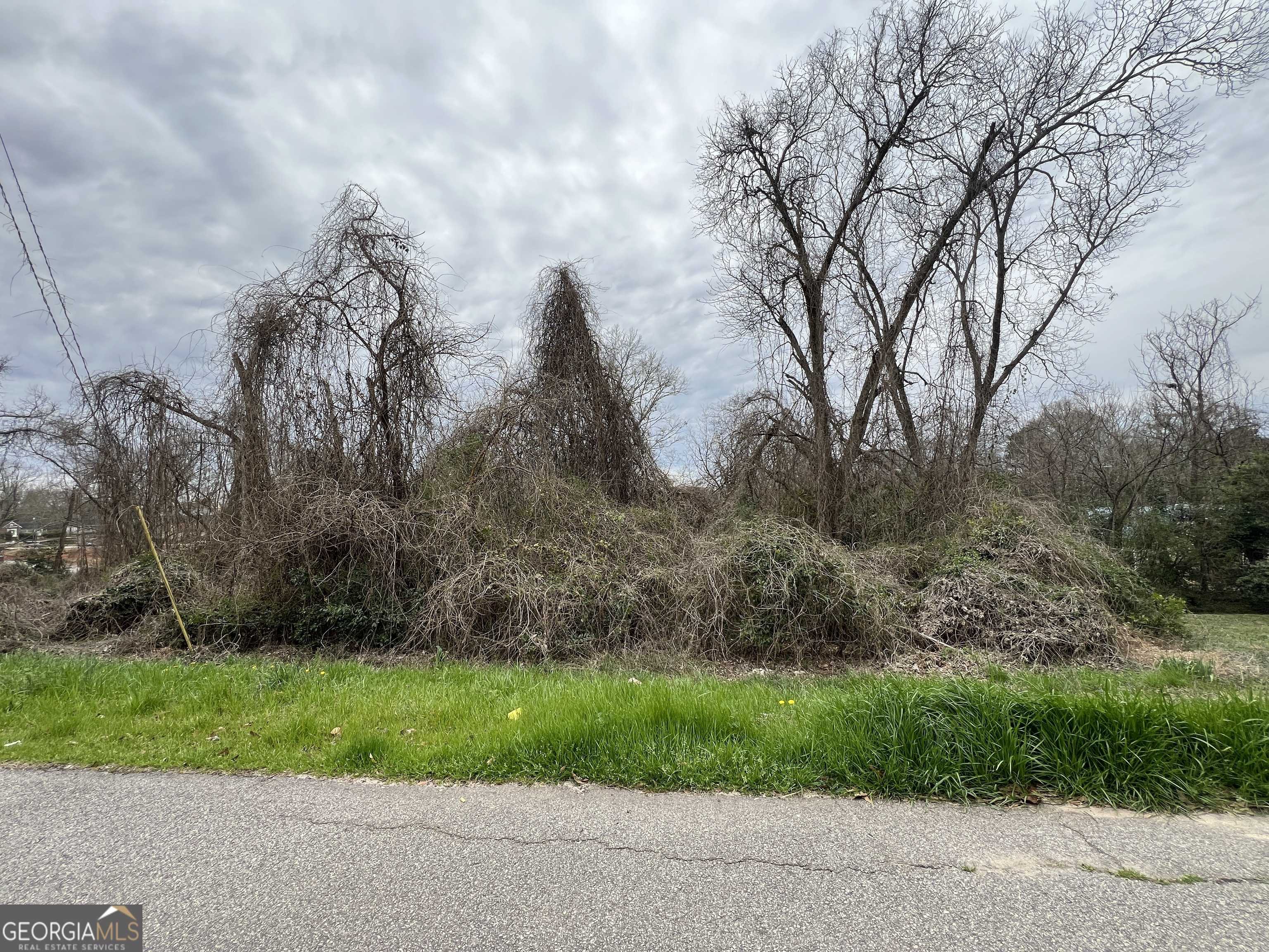 Lagrange, GA 30241,207 Dix St & Cato ST