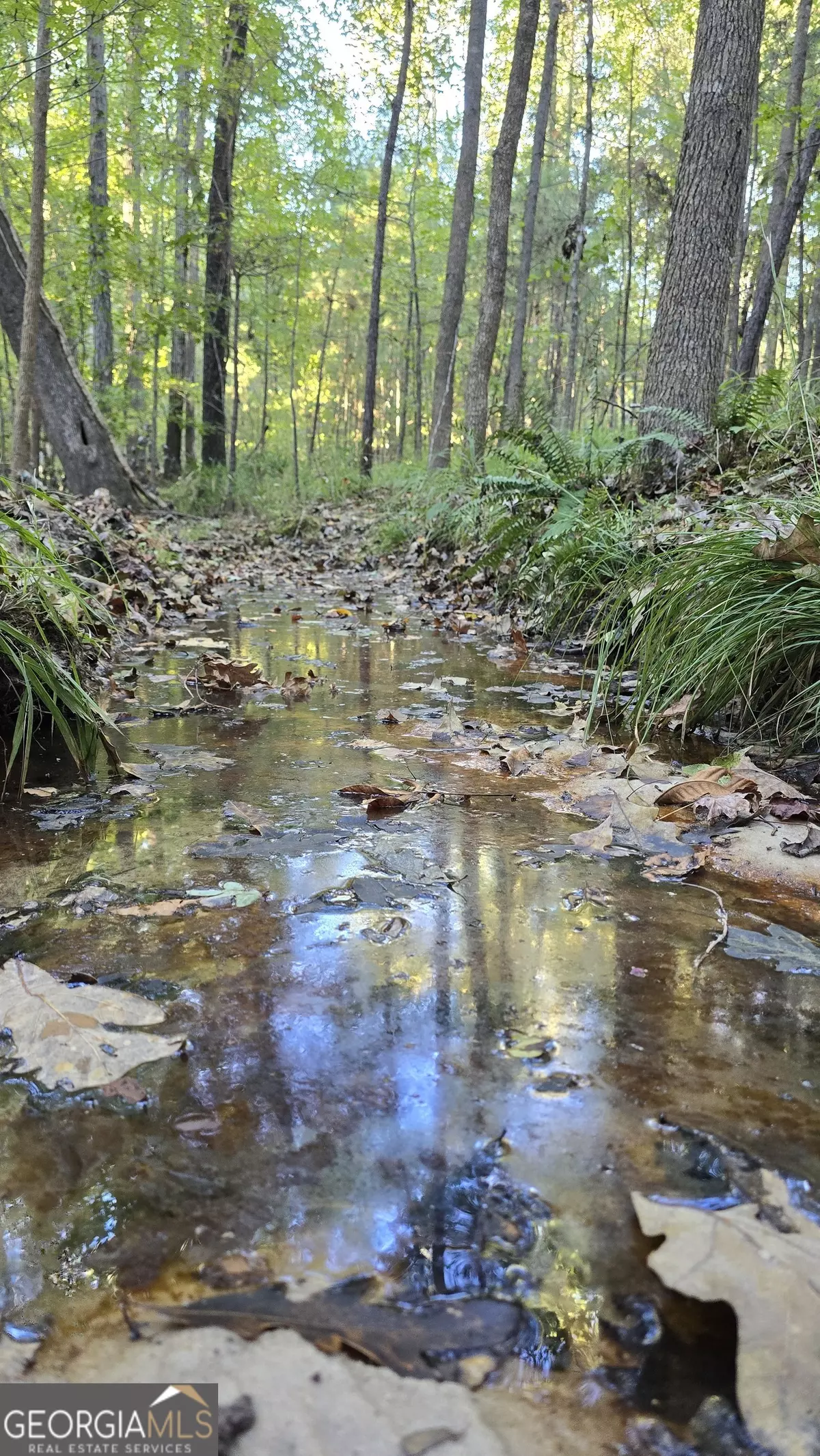 Tignall, GA 30668,1107 Watersedge CV