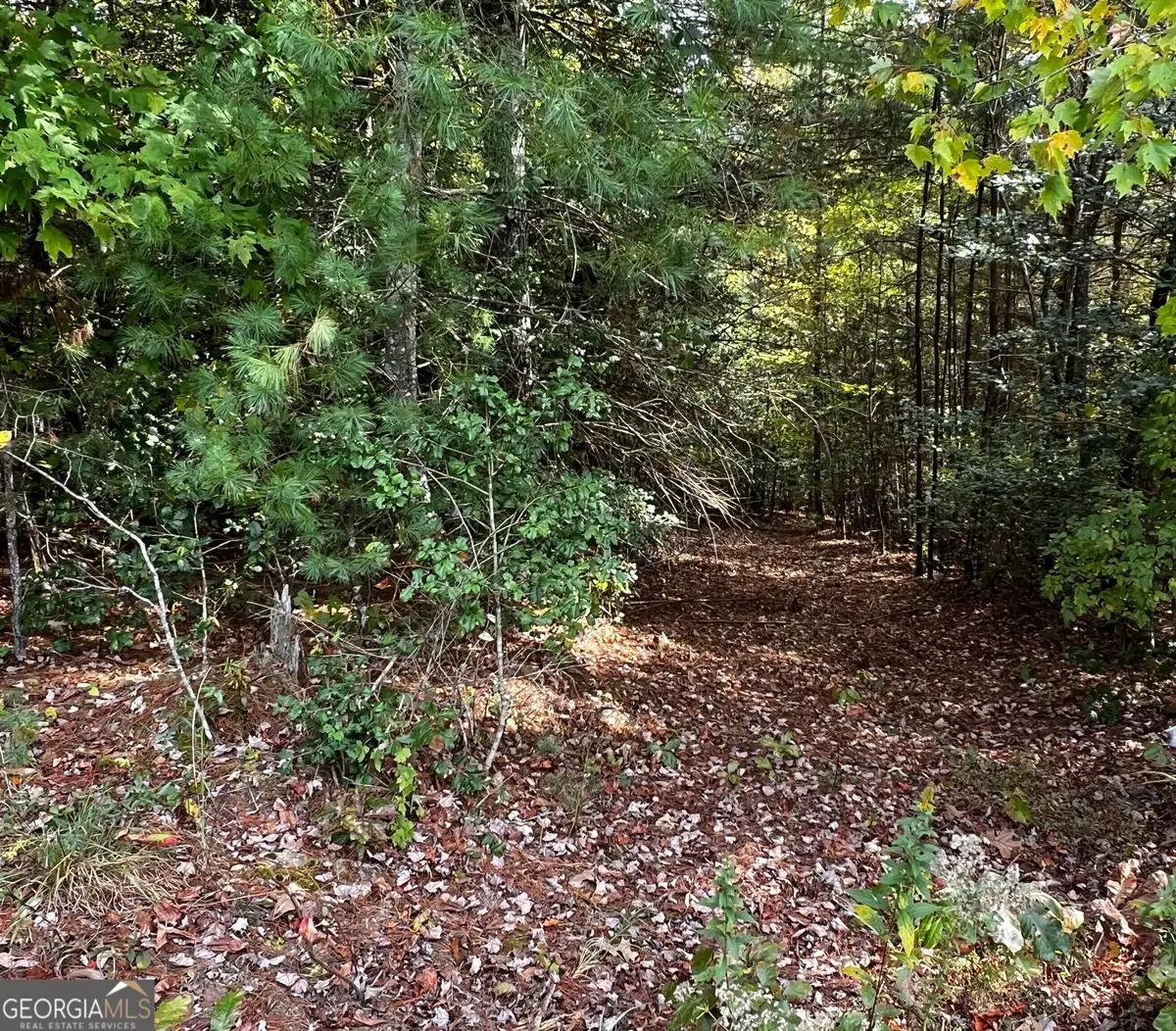 Murphy, NC 28906,0 John Taylor RD