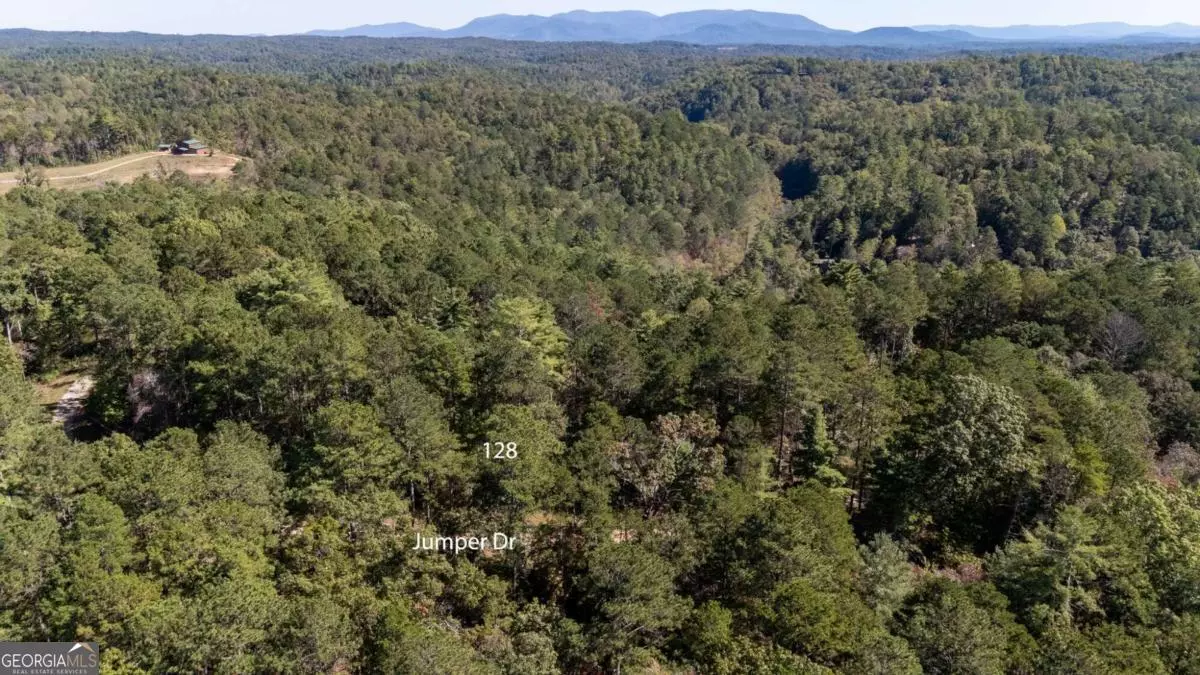 Ellijay, GA 30540,0 Jumper DR