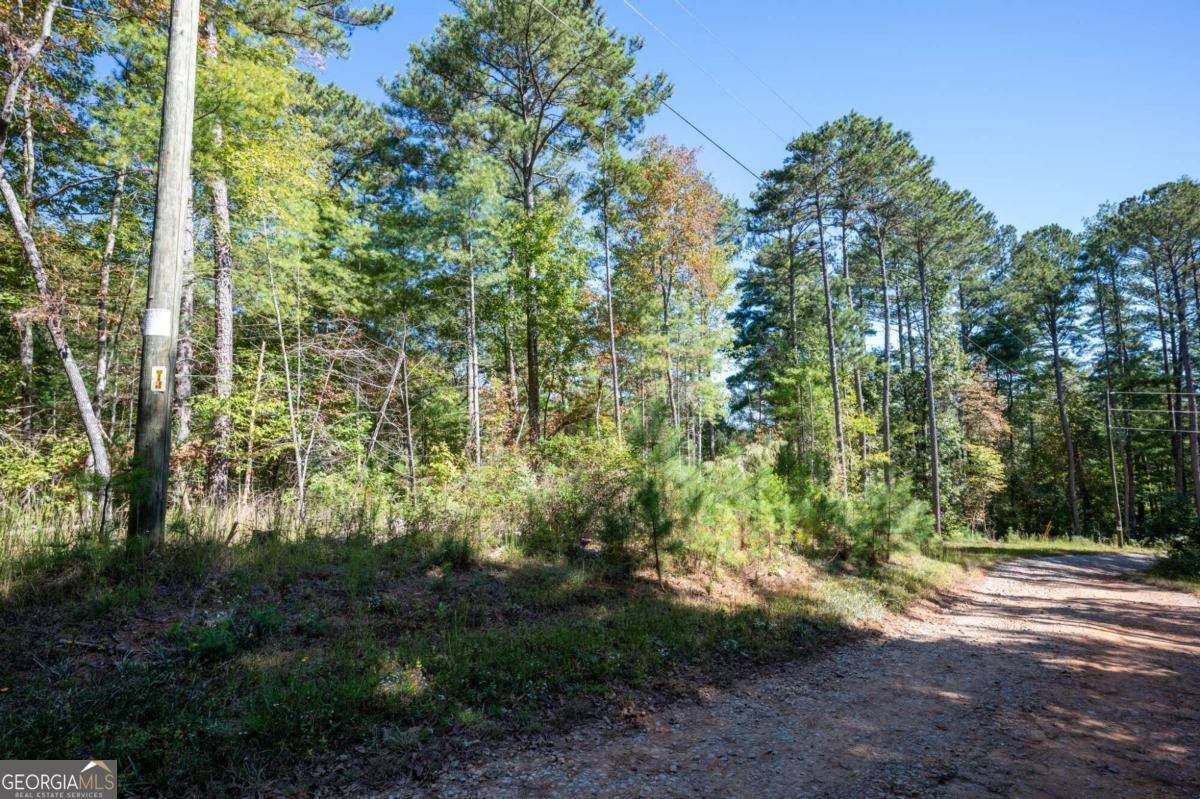 Ellijay, GA 30540,0 Jumper DR