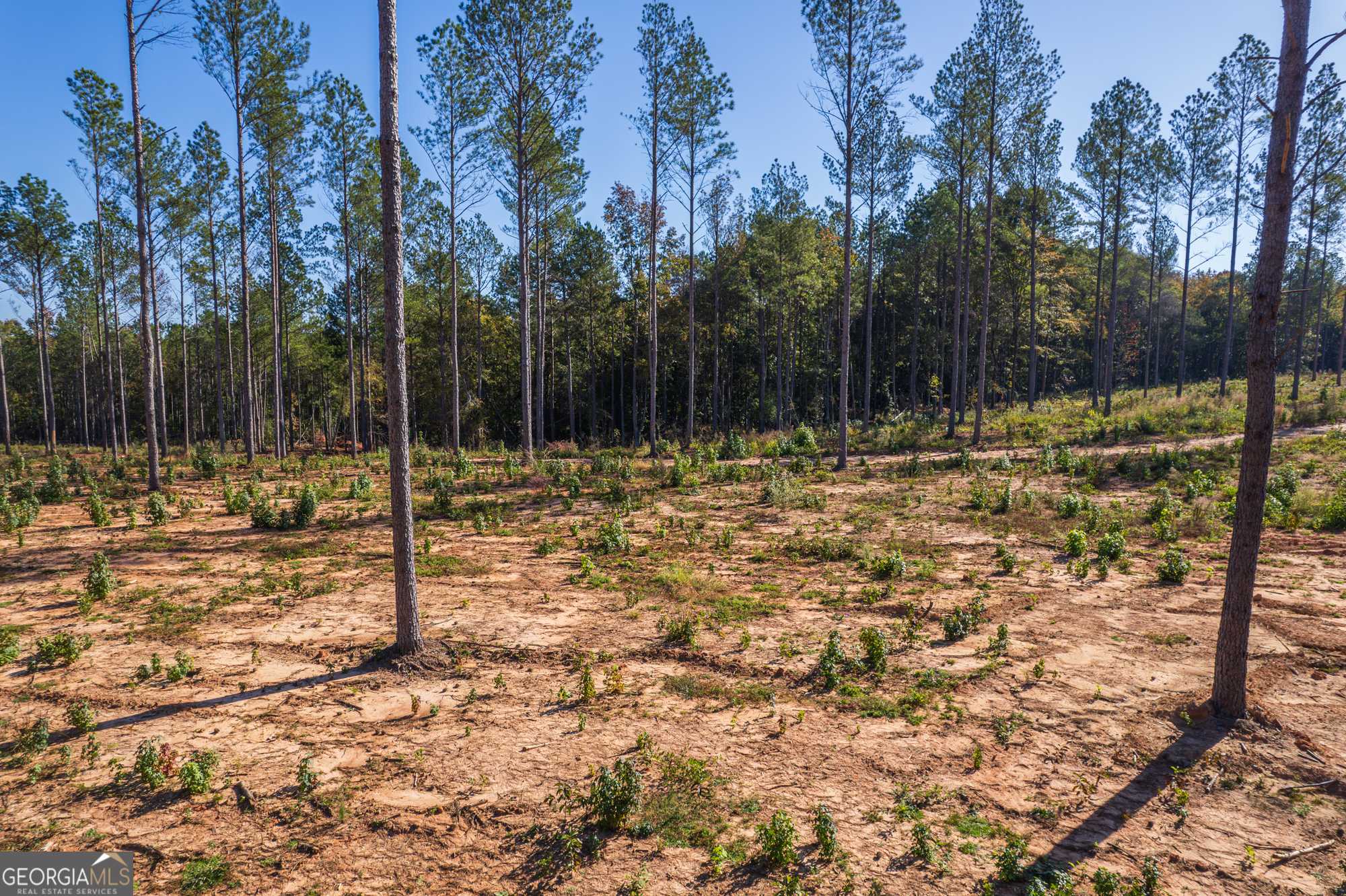 Forsyth, GA 31029,5588 GA Highway 42 #LOT 3