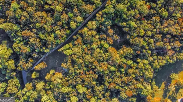 Ellijay, GA 30536,106 Oak Wood TRL