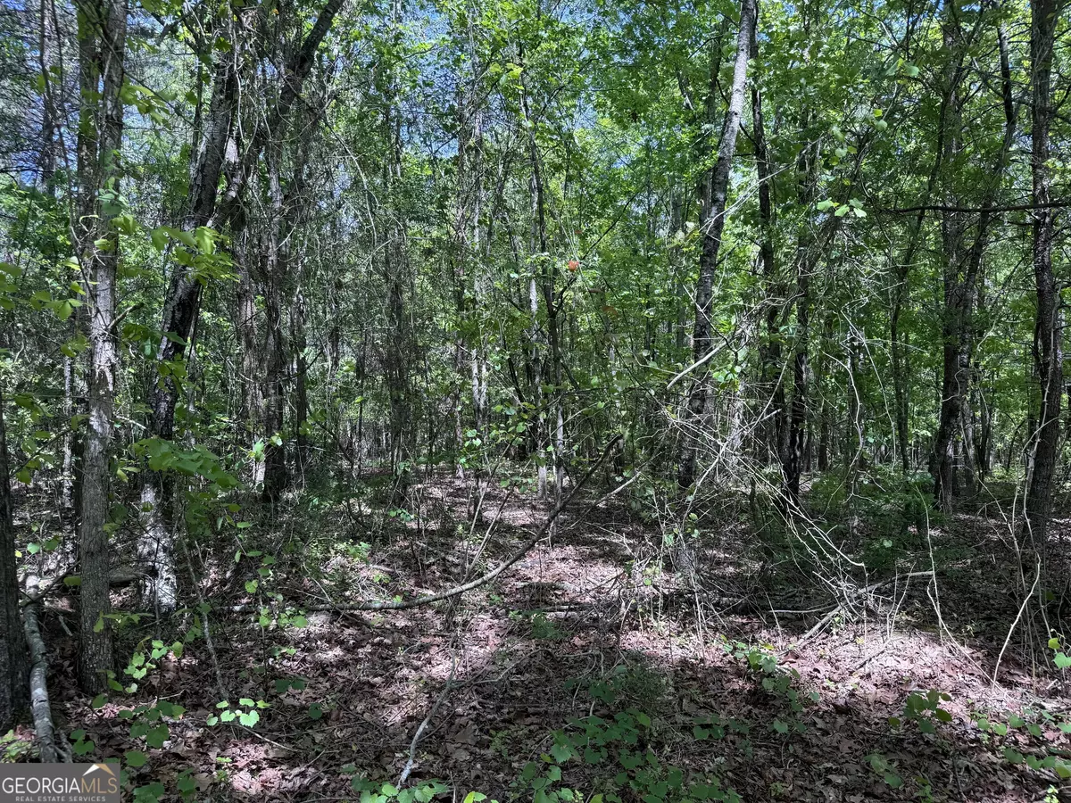 Eastanollee, GA 30538,0 Hwy 17 24.19 Acres