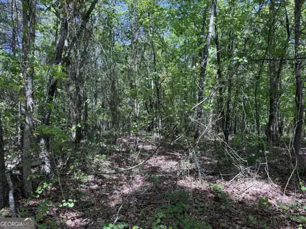 0 Hwy 17 24.19 Acres,  Eastanollee,  GA 30538