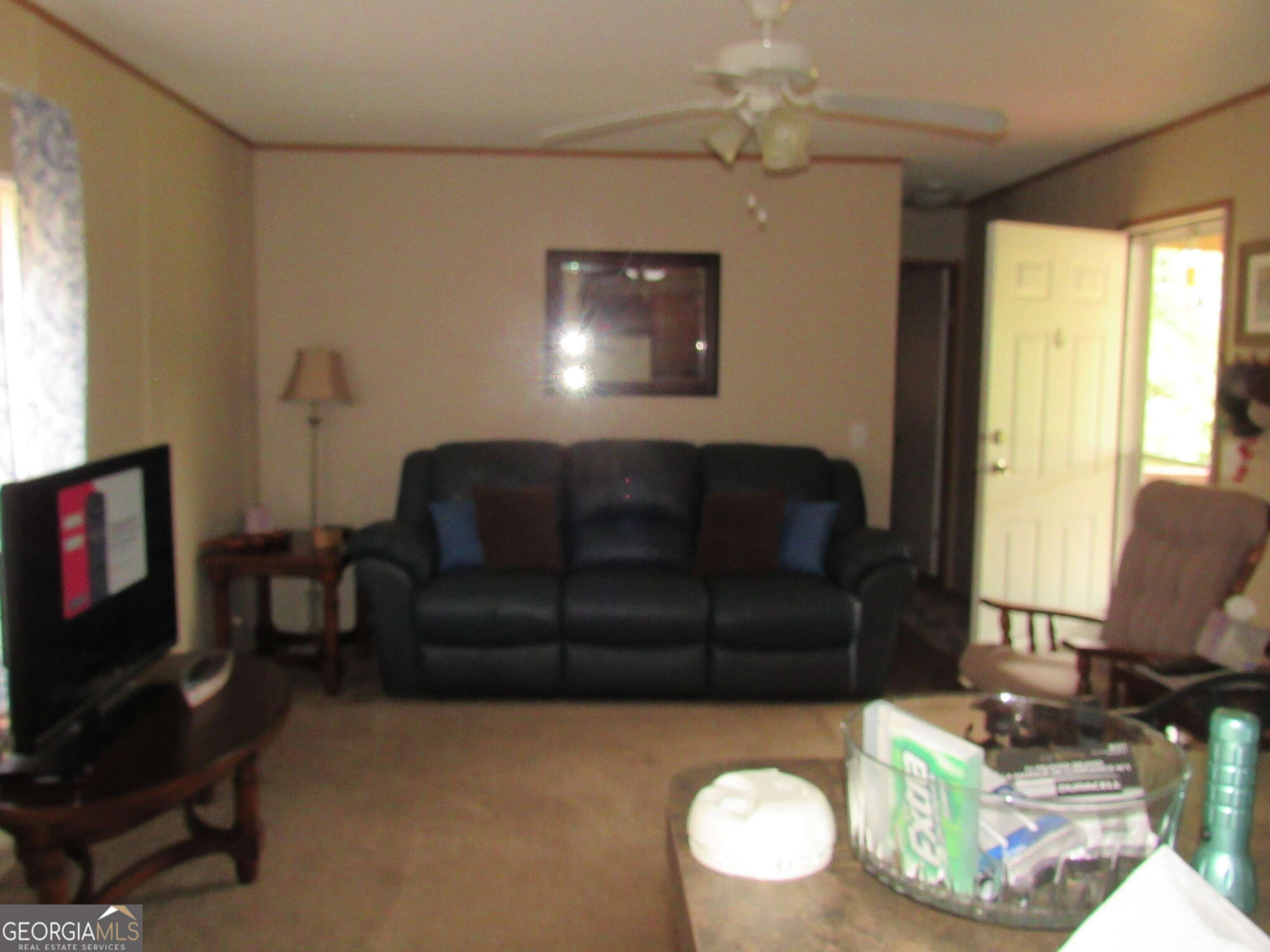 Georgetown, GA 39854,124 Woodland DR