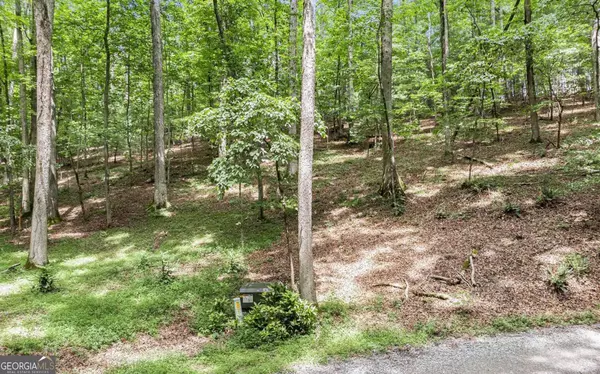 Ellijay, GA 30536,2AC Andes Ridge Lot 288