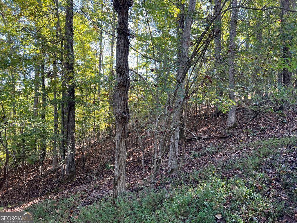 LOT 23 Tahlequah Ridge, Hayesville, NC 28904