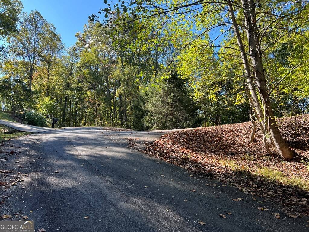 Hayesville, NC 28904,LOT 23 Tahlequah Ridge