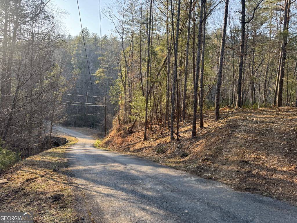 Ranger, GA 30734,1767 Longbranch DR