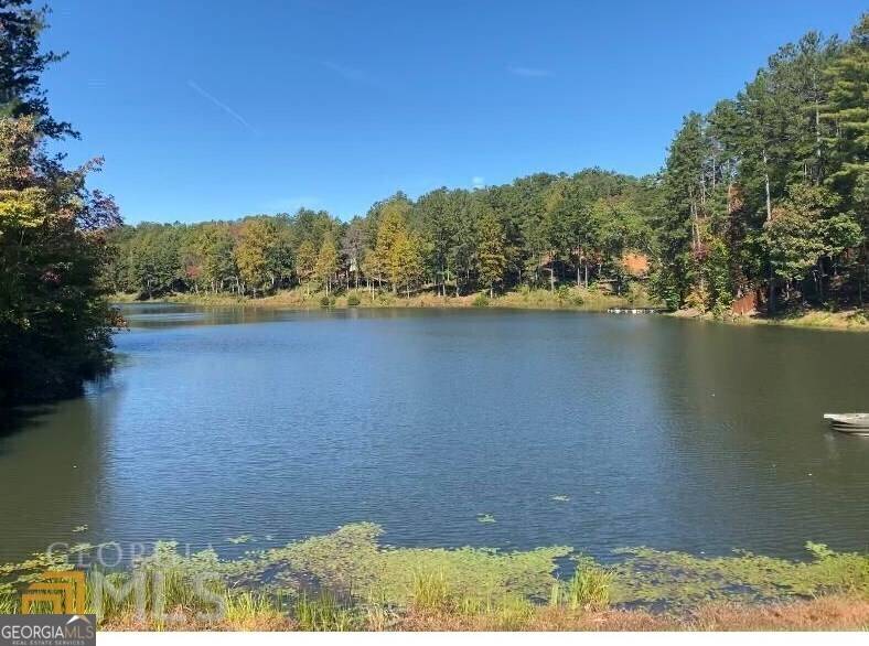 Ellijay, GA 30540,242 Overlook DR