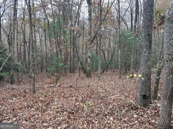 Ellijay, GA 30536,LOT 11 Clear Creek Preserve