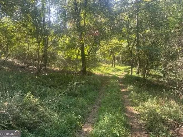Ellijay, GA 30536,LOT 5 Clear Creek Preserve WAY