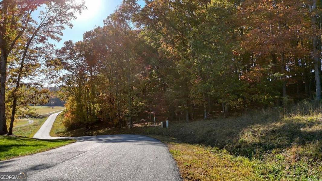 LOT 161 Old Owen DR #161, Blairsville, GA 30512