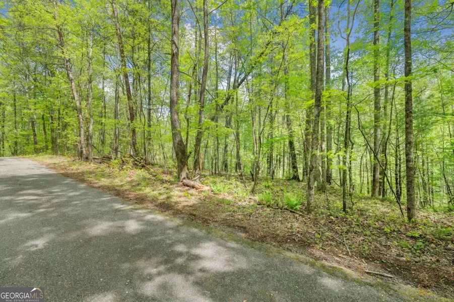 0 Ts Jarrard RD #TRACT 2, Dahlonega, GA 30533