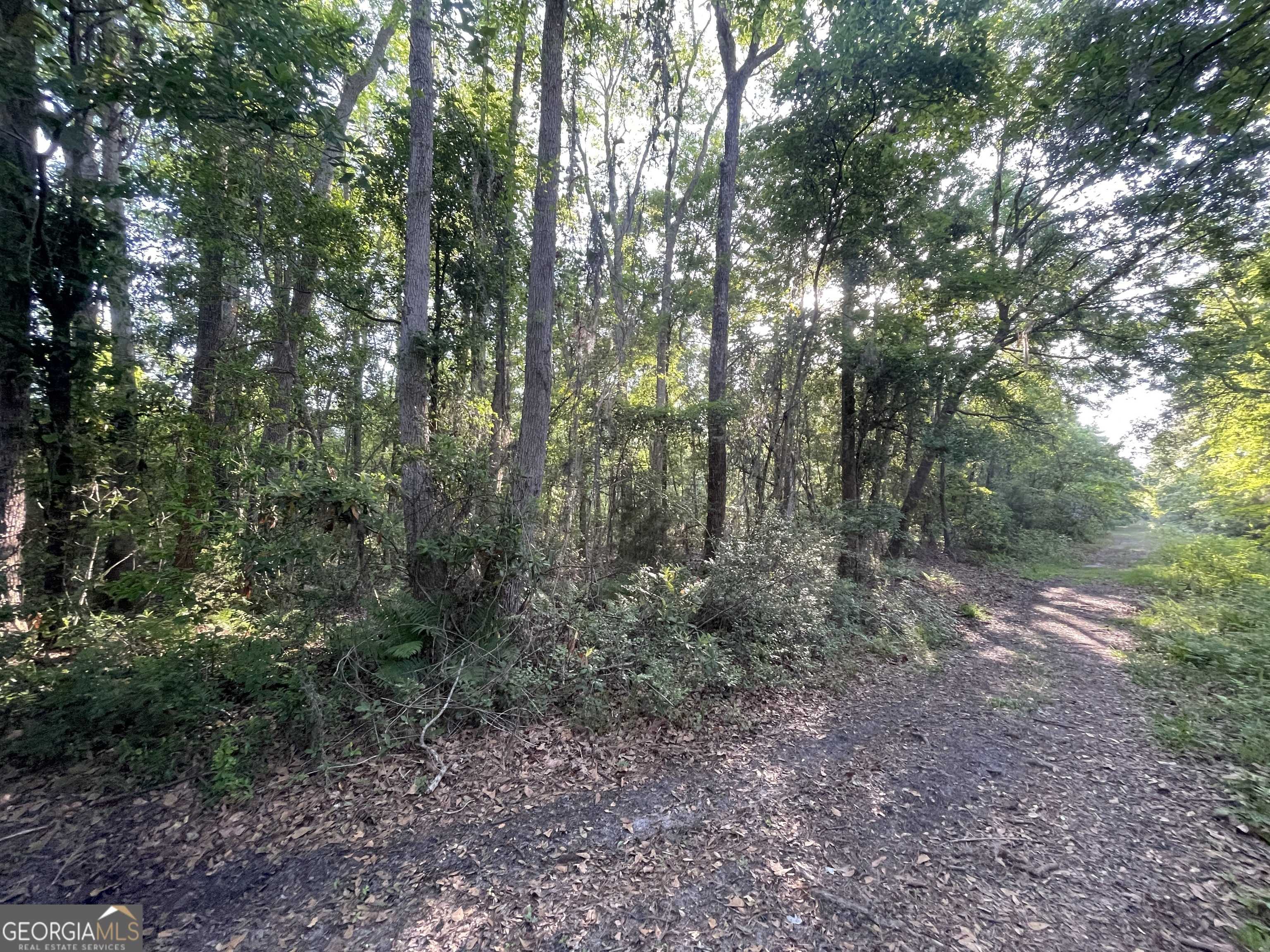 St. Marys, GA 31558,24+AC Liz Moody BLVD