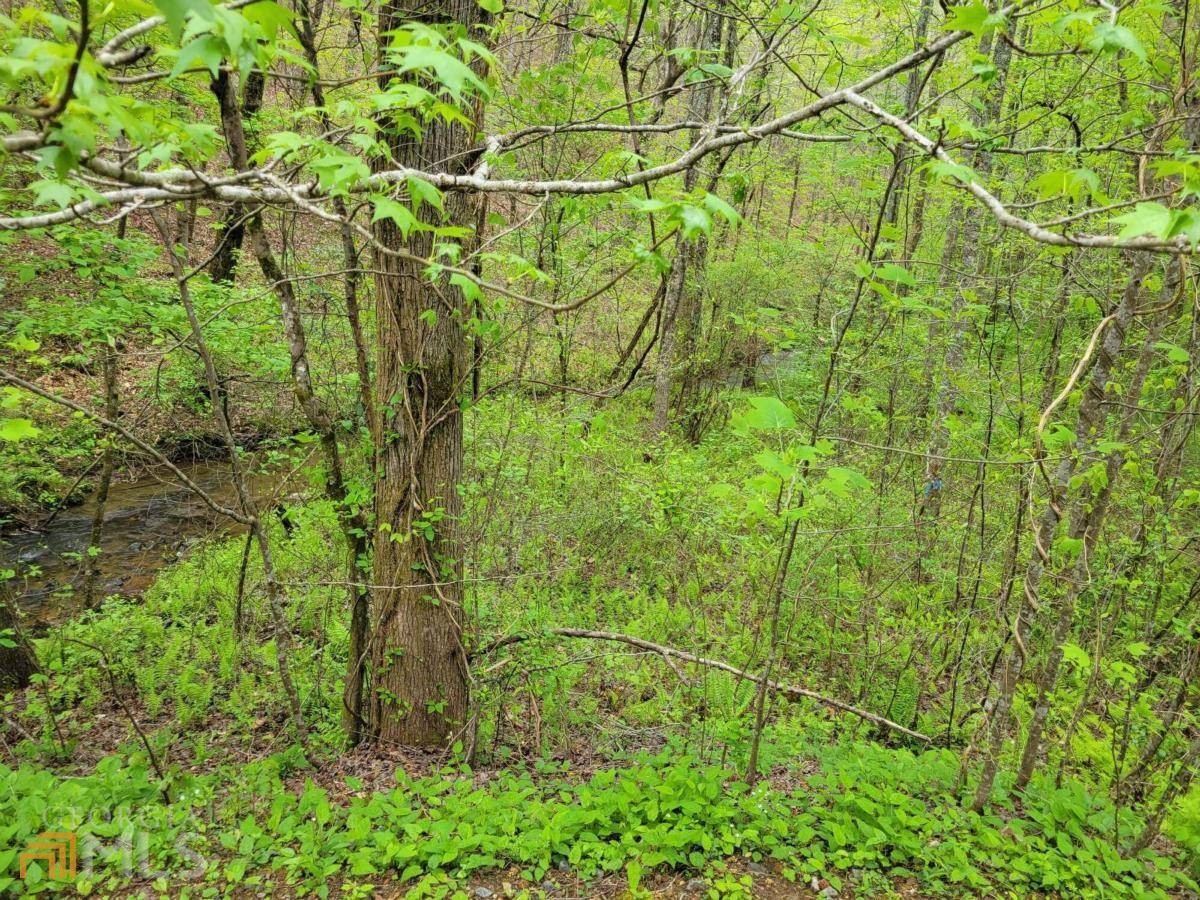 Ellijay, GA 30536,LOT27 Oak Ridge WAY