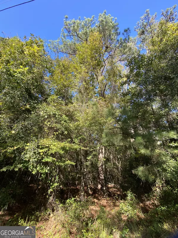 Macon, GA 31217,0 N Sgoda